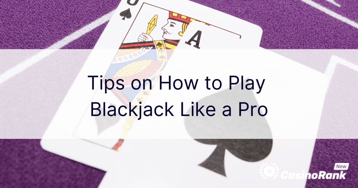 ការណែនាំអំពីរបៀបលេង Blackjack ដូច Pro
