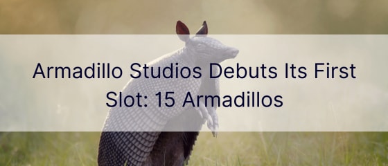 Armadillo Studios បង្ហាញរន្ធដំបូងរបស់ខ្លួន: 15 Armadillos